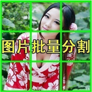 图片批量切割软件 图片批量分割工具 批量切图器 图片批量裁剪-88资料库