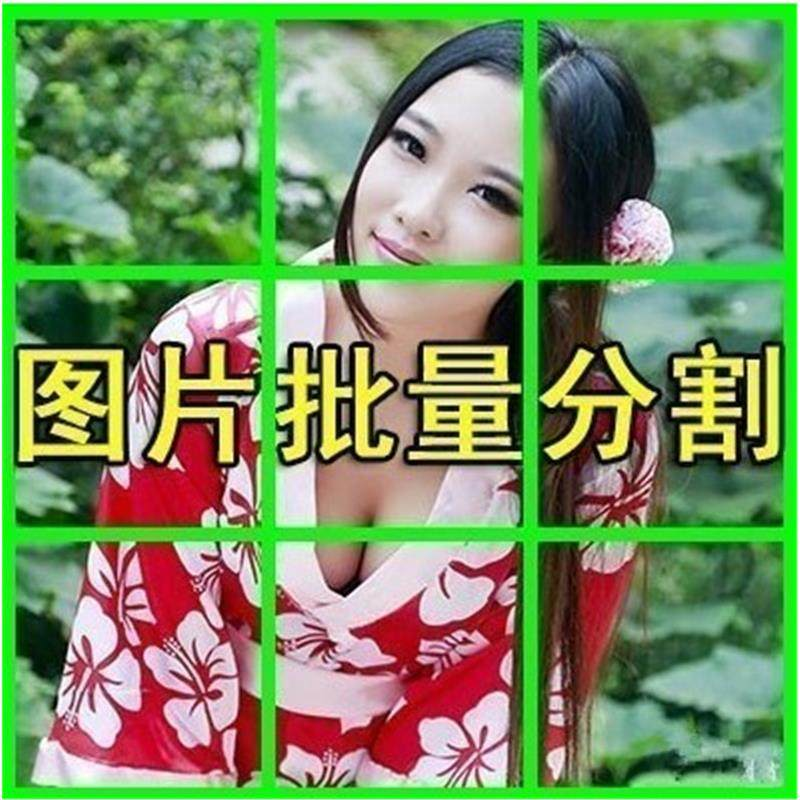 图片批量切割软件 图片批量分割工具 批量切图器 图片批量裁剪-88资料库