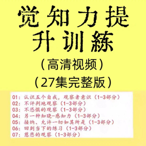 觉知力训练感知力国学智慧2025年心理学自我意识内心疗愈视频教程-88资料库
