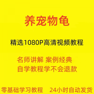 养宠物龟饲养视频教程全套从入门到精通技巧培训学习在线课程-88资料库