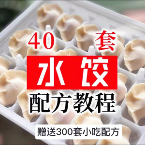 【0.01秒发】40套水饺技术配方 特制技术视频教程-88资料库