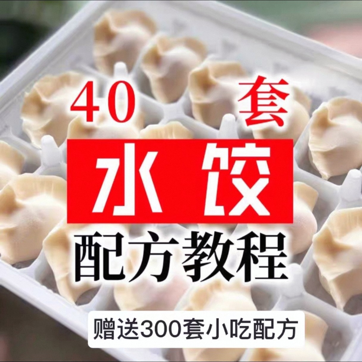 【0.01秒发】40套水饺技术配方 特制技术视频教程-88资料库