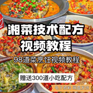 【0.01秒发】98道湘菜技术配方视频教程商用湖南菜炒菜特色小吃-88资料库