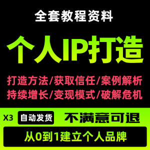 个人IP打造教程如何快速打造个人IP社交品牌定位训练营资料大全新-88资料库