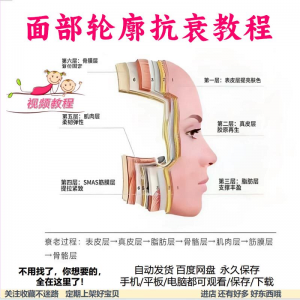 美商课程面部轮廓抗衰美肤减龄变美视频教程形象管理内在美好气色-88资料库
