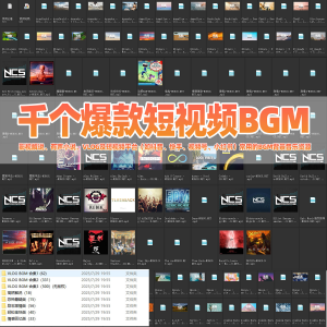 千个爆款短视频BGM背景音乐小红书抖音快手热门VLOG音乐影视解说-88资料库
