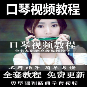 口琴自学教程视频零基础初学者入门到专业十孔24孔教学-88资料库