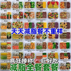 减肥食谱电子版课程 减脂餐一日三餐指导科学健康瘦身配餐计划-88资料库