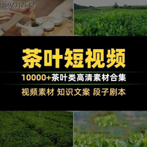 茶叶茶业茶具茶道茶艺茶文化知识文案茶园采茶泡茶高清短视频素材-88资料库
