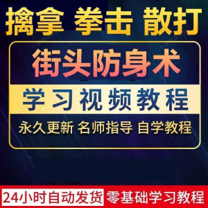 街头防身术擒拿拳击散打视频教程全套入门自学零基础学习教程视频-88资料库
