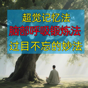 过目不忘修炼记忆力脑部呼吸锻炼法改造大脑健身气功养生训练方法-88资料库