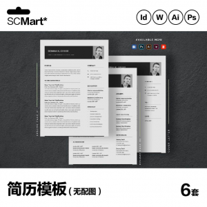 6套高级英文简历Word简历 ai psd设计师简历模板毕业生简历CV29-88资料库