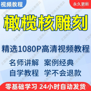 橄榄核雕刻视频学习教程新手自学零基础入门精通教学课程全集-88资料库