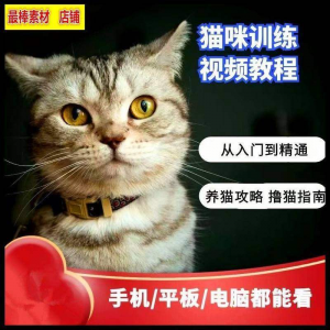 猫咪训练+养猫攻略大全技巧秘诀自学教程课程视频-88资料库